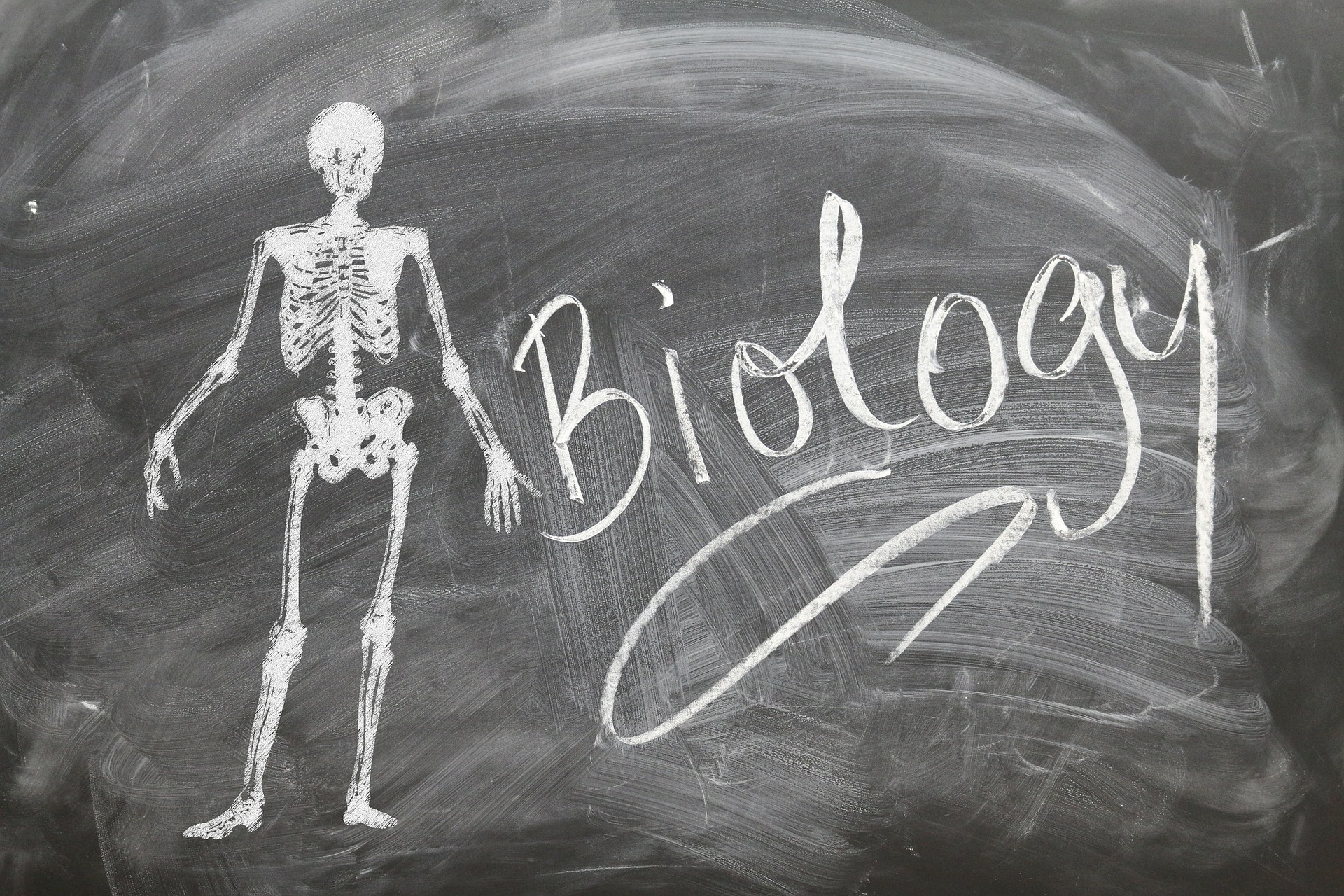  Qu Es La Biolog a Definici n Concepto E Historia 