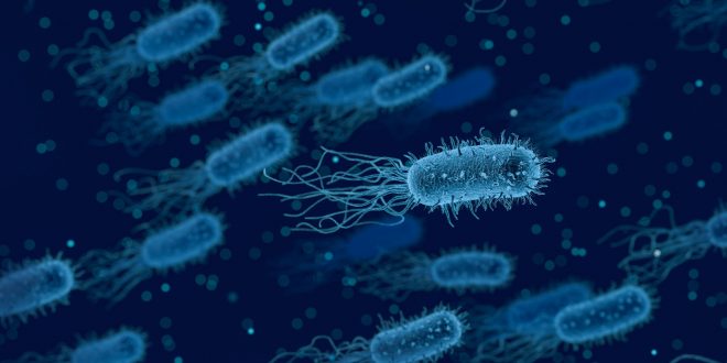 resistencia a antibióticos