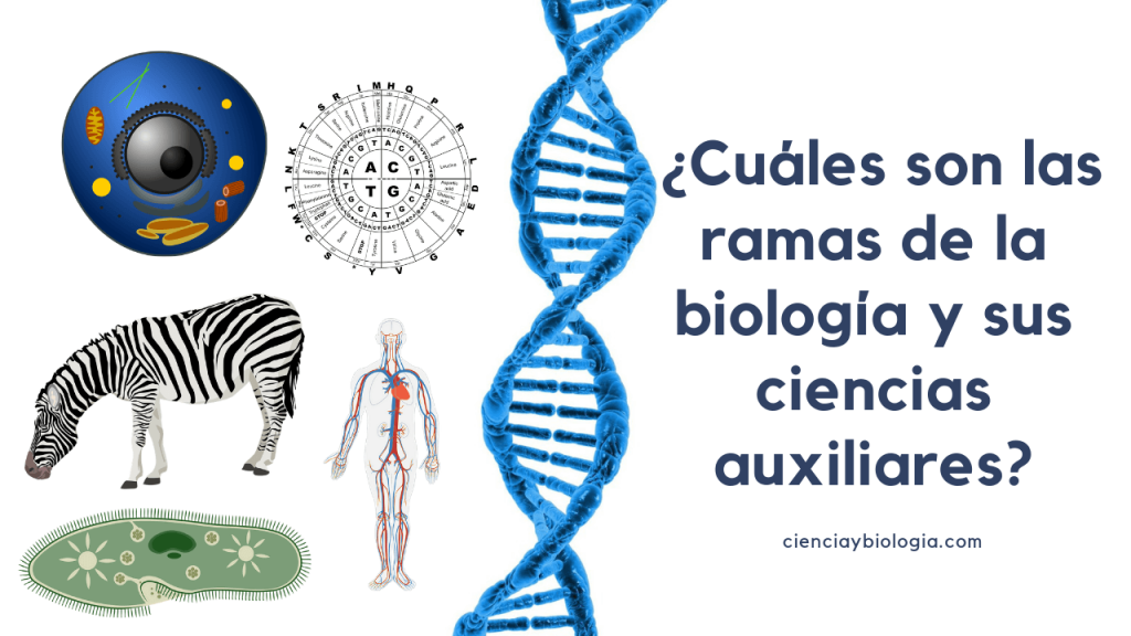 ramas de la biología