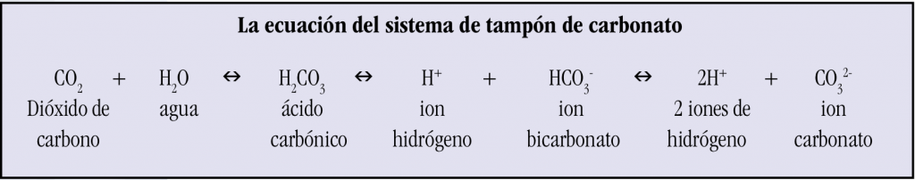reaccion acidificacion oceano