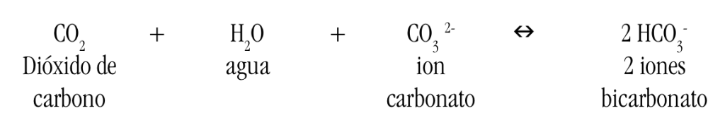 acidez oceano