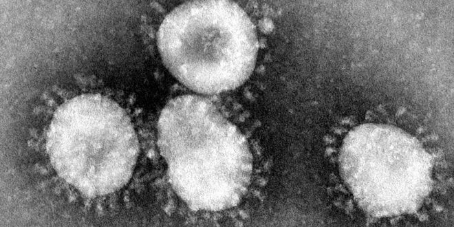 coronavirus de wuhan