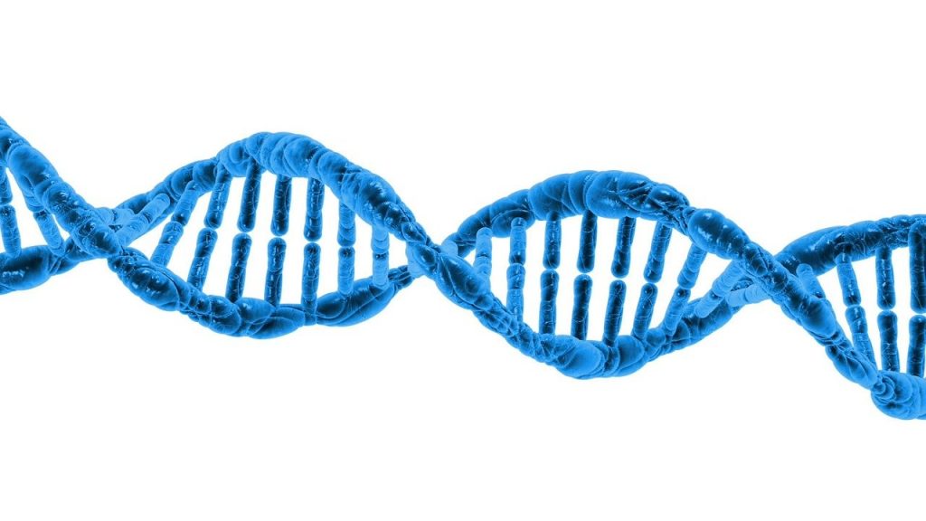 nivel de organización de la materia molecular