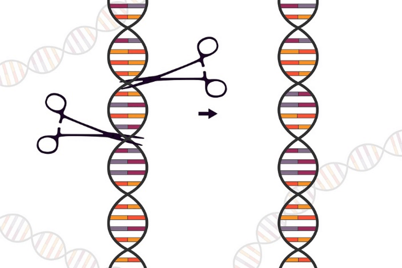 crispr terapia arn